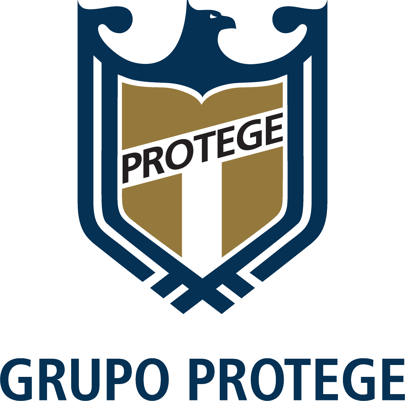 Logo GRUPO PROTEGE